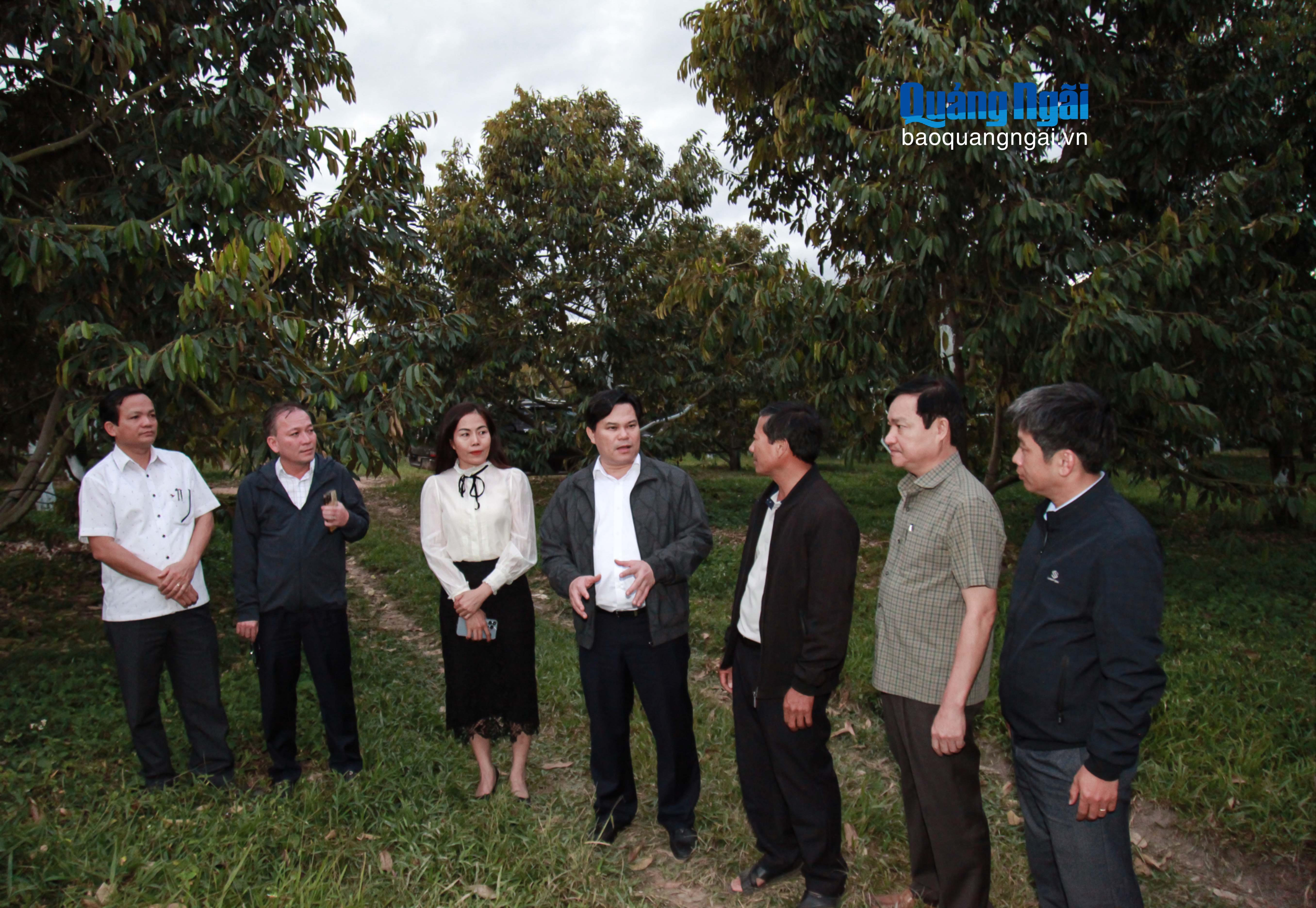 Báo và Phát thanh, Truyền hình Quảng Ngãi